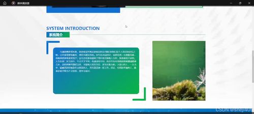基于SSM與Vue的二手?jǐn)?shù)碼產(chǎn)品回收管理系統(tǒng) 數(shù)字化內(nèi)容制作服務(wù)詳解